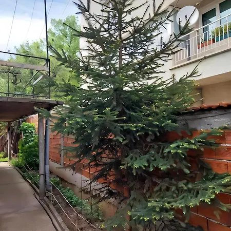 Independent In A House In The Apartamento